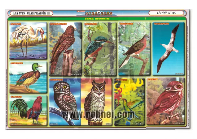 Las Aves
